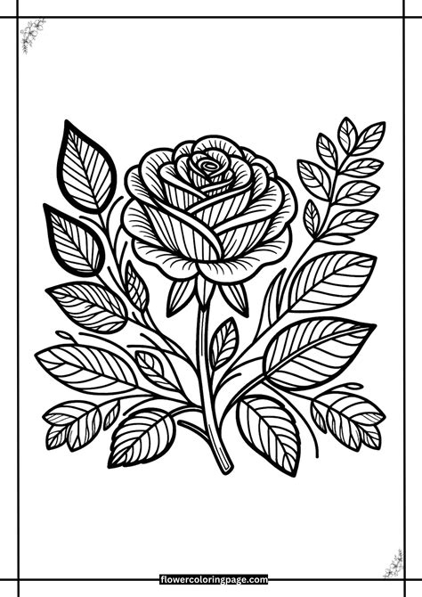 Rose Coloring Page Printable Free