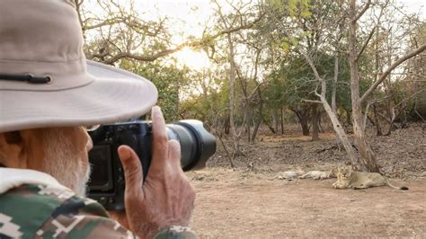 PM Modi chairs National Wildlife Board meet in Gujarat, announces lion ...