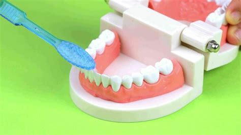 Teeth Cleaning Tutorial 的图像结果