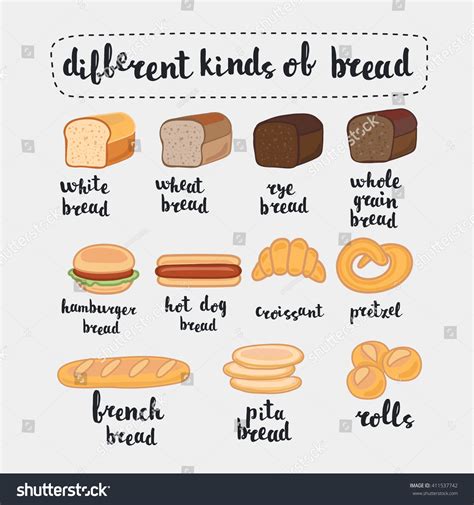 Vector Illustration Different Kinds Bread Isolated Stock Vector ...