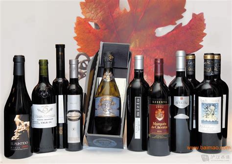 白葡萄酒高端标签设计 -圣智扬品牌策划公司