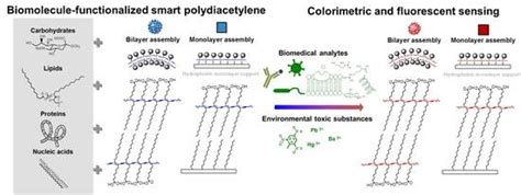 Biomolecule-Functionalized Smart Polydiacetylene for Biomedical and ...