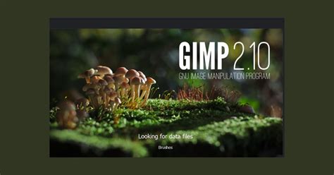 Image result for Computer Photo Software Free