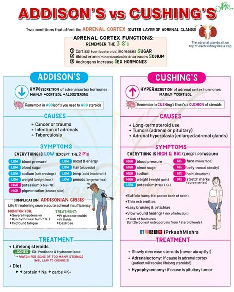 Addison's vs Cushing's in 2025