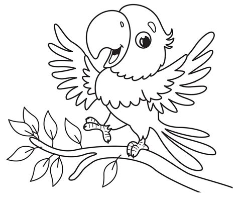 Image result for Parrot Coloring Pages