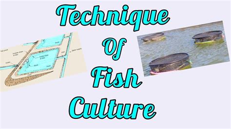 Fish Farming Methods 的图像结果