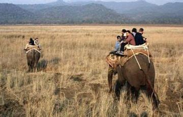 Heart-warming 8 Days 7 Nights Jim Corbett National Park Holiday Package ...