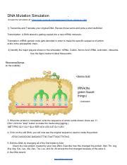DNA Simulation Worksheet 的图像结果