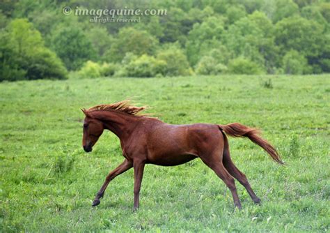 Image result for Android:Id