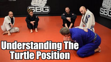 Image result for Turtleback Position