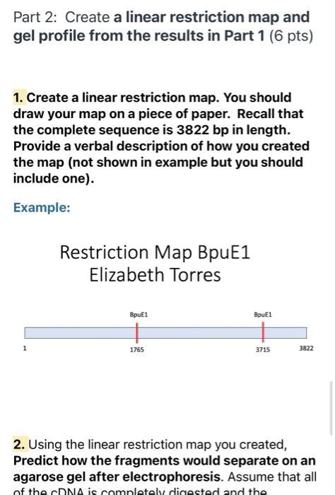 Restriction Map Explained 的图像结果