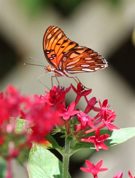 Hernando County Driver's License Bus to relocate to Lee County ...