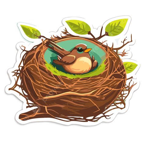 Robin Nest Clip Art