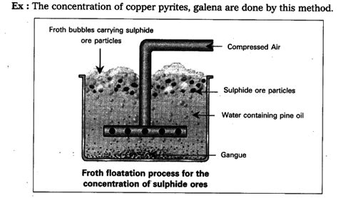 Write short notes on froth floatation process - CBSE Class 10 Science ...