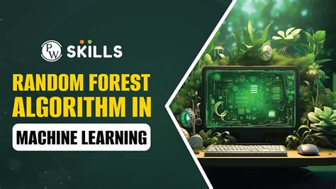 Image result for Random Forest Algorithm Using in Machine Learning