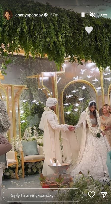 Alanna Panday ties the knot with Ivor McCray; Ananya Panday shares ...