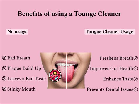 Tongue Cleaner: Buy Stainless Steel Tongue Scraper Online – Perfora ...