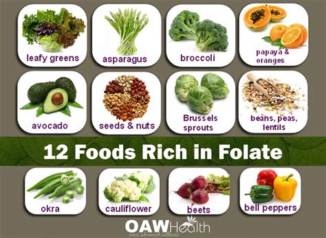 Image result for Folate Food Sources