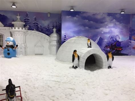 Snow Kingdom (Mumbai) - 2020 What to Know Before You Go (with Photos ...