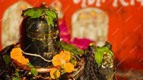 Image result for HTML5 Shiv JavaScript Library