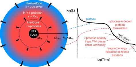 The Effects of r-Process Enrichment in Hydrogen-rich Supernovae - IOPscience