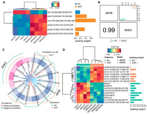 Genome-Wide DNA Methylation and Transcriptome Integration Associates ...