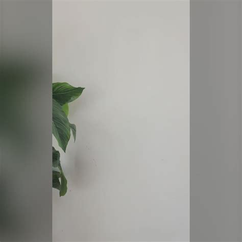 Boho Table Mini – Madras Prop Store