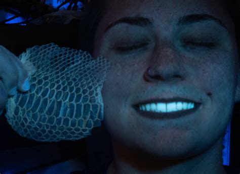 Image result for Python Skin Structure