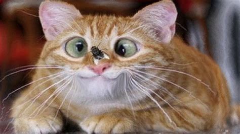 Image result for Program Control Instructions with Examples