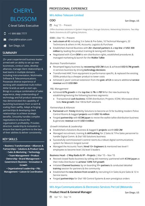 c level executive resume | Wallpaper Blog Resume