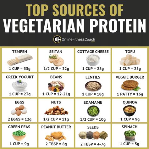 All Time Best Vegetarian Protein List – Easy Recipes To Make at Home