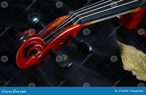 Image result for Classic String Instruments