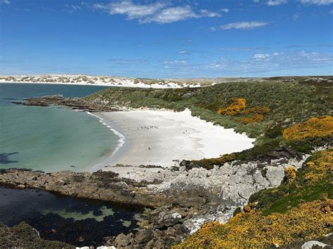 THE FALKLANDER TRAVEL (2026) All You Need to Know BEFORE You Go (with ...