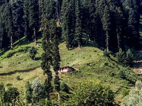 Effective ways you can save the earth as an individual - Individual ...