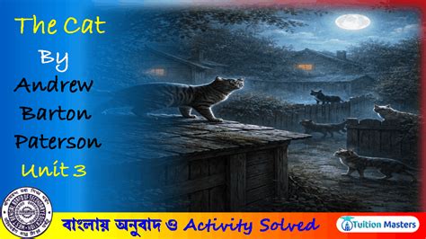 The Cat Bengali Explanation | Class 10 | English | The Cat Question And ...