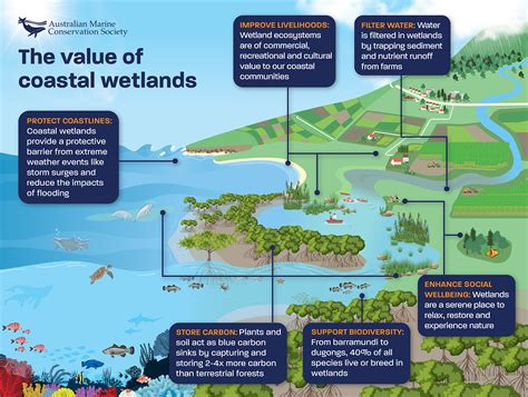 Why Are Coastal Waters Important To Ecological Systems at Audrey Tyler blog