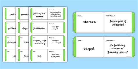 Plant Vocabulary Loop Cards