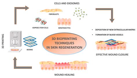 Three-Dimensional Bioprinting Techniques in Skin Regeneration: Current ...