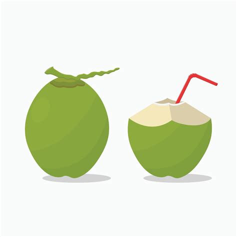 Whole Coconut Clip Art