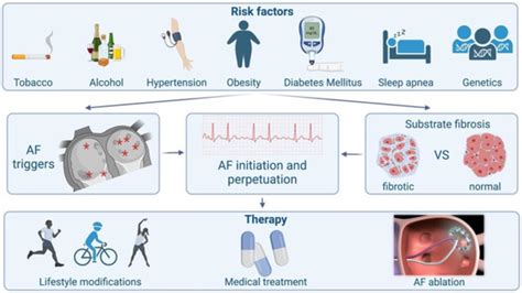 Mechanisms of Atrial Fibrillation: How Our Knowledge Affects Clinical ...