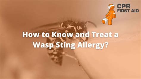How To Know And Treat A Wasp Sting Allergy? | CPR First Aid