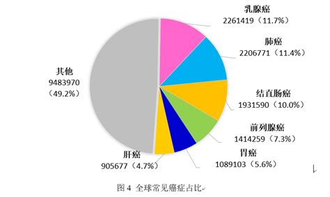 Free Beginner Java Programming 的图像结果