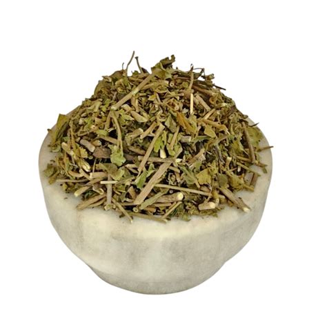 Gudmar - Sugar Destroyer - Madhunashini - Gymnema sylvestre – Jadibuti ...