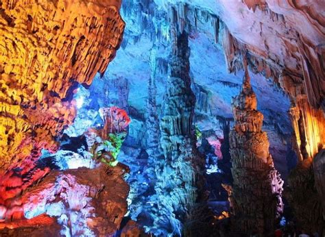 Colorful World 的图像结果