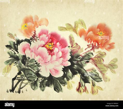 Chinese Peony Painting - painting of peonies