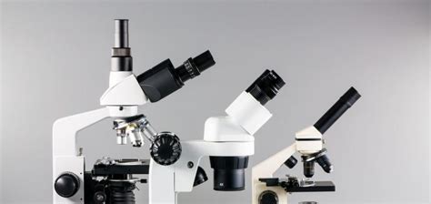 Image result for Microscope Optique