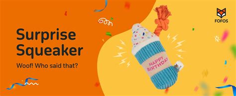 Buy BarkButler x Fofos Birthday Cake Plush - Soft & Squeaky Toys for ...