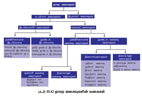 தாவர அசைவுகள் - உயிர் சார் அசைவுகள், இயல்சார் அசைவுகள் (அ) ஈரப்பசை ...