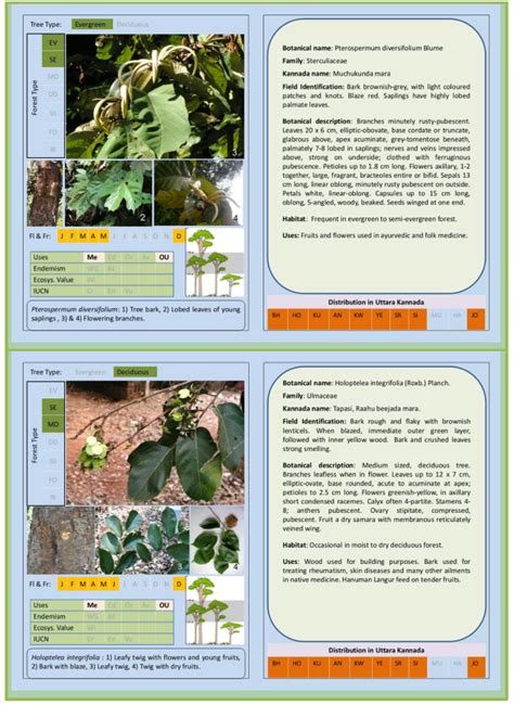 FOREST TREES OF CENTRAL WESTERN GHATS