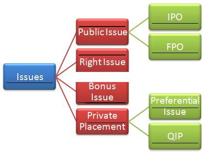 Image result for Issuing Preference Shares